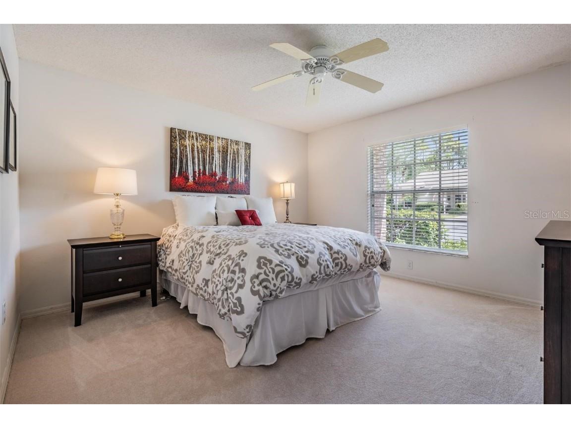 1231 Flora Vista Street Trinity FL 34655 W7879182 image18