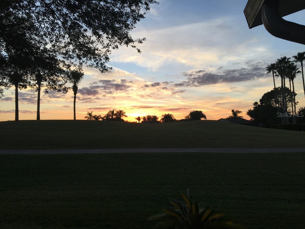 1231 Flora Vista Street Trinity FL 34655 W7879182 image24