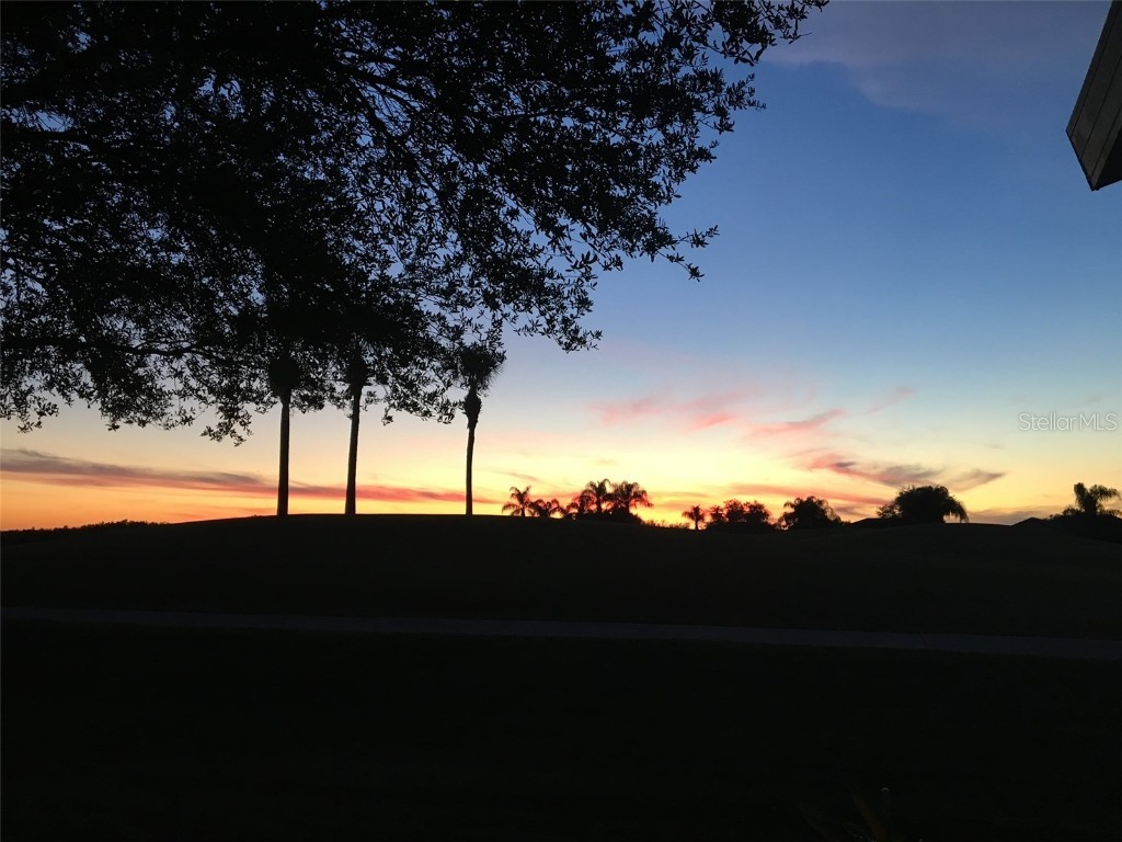 1231 Flora Vista Street Trinity FL 34655 W7879182 image25