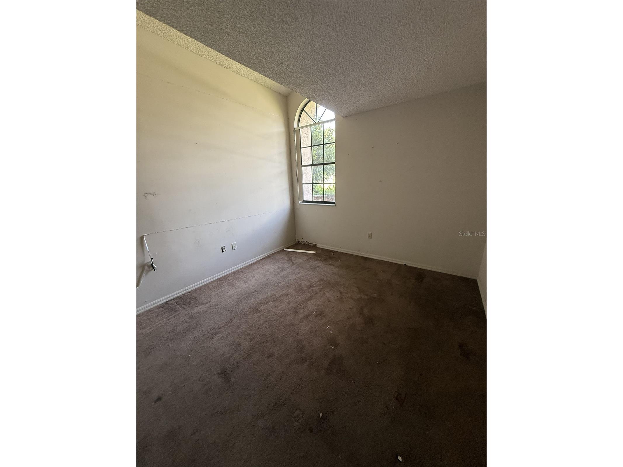 1231 Gage Avenue Deltona FL 32738 V4950109 image8