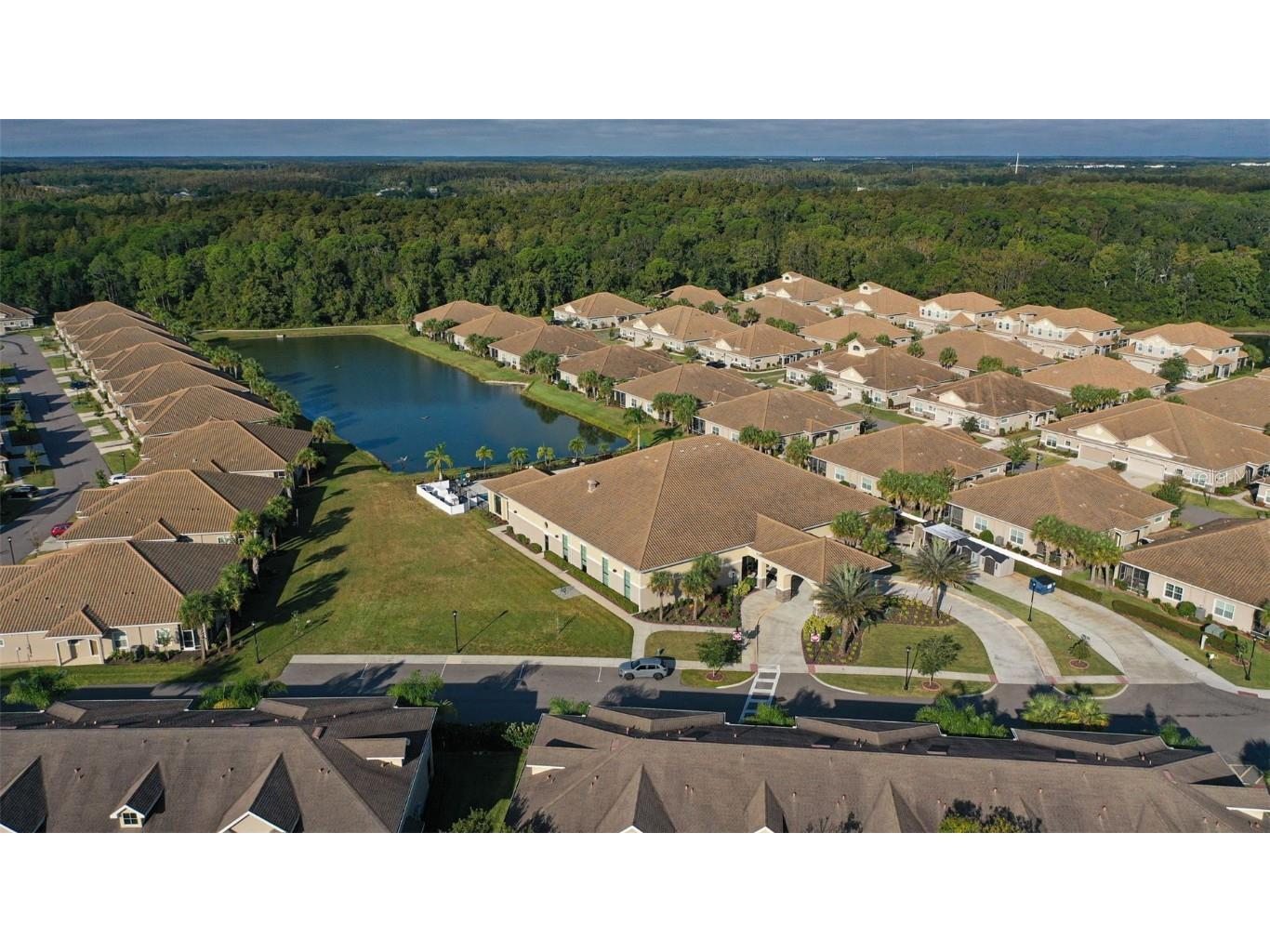 1231 Godavari Way #101 Wesley Chapel FL 33543 TB8443136 image32