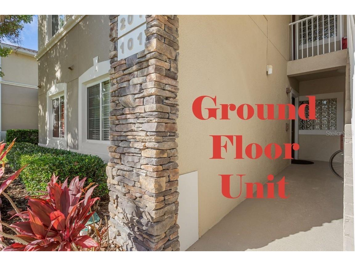 1231 Godavari Way #101 Wesley Chapel FL 33543 TB8443136 image4