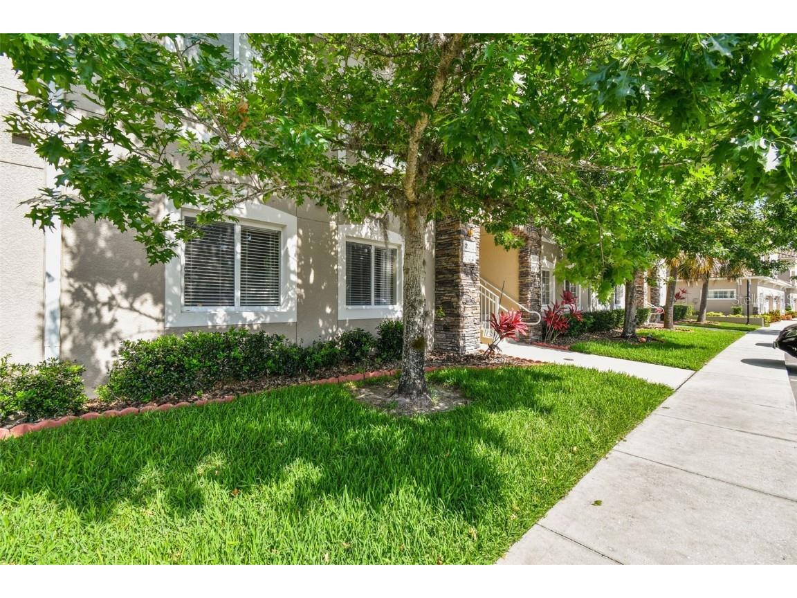 1231 Godavari Way #103 Wesley Chapel FL 33543 TB8376955 image2