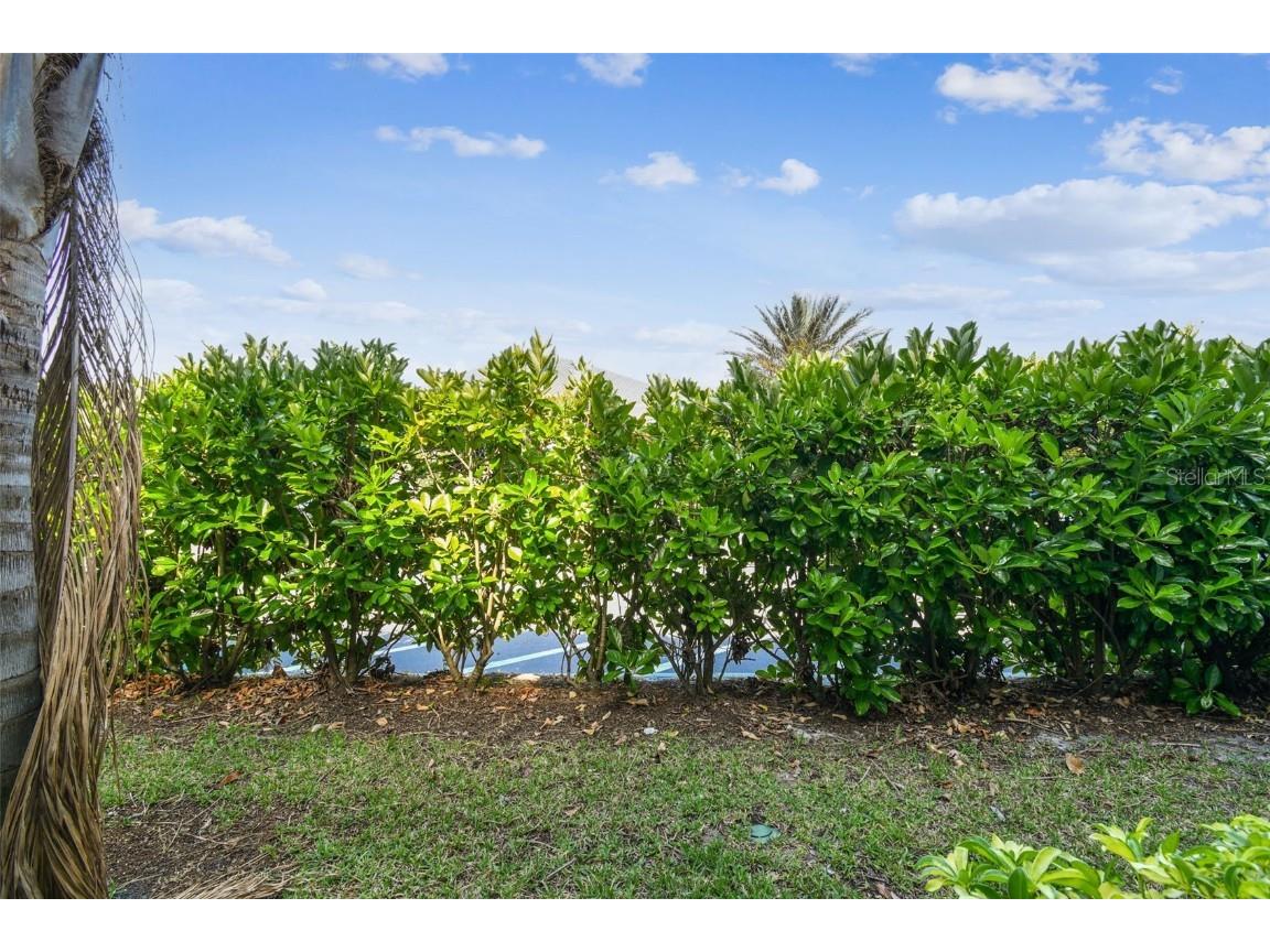 1231 Godavari Way #103 Wesley Chapel FL 33543 TB8376955 image62