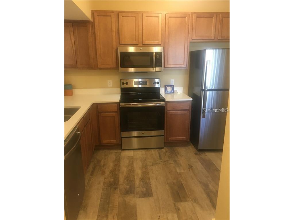 1231 Godavari Way #103 Wesley Chapel FL 33543 TB8489337 image4