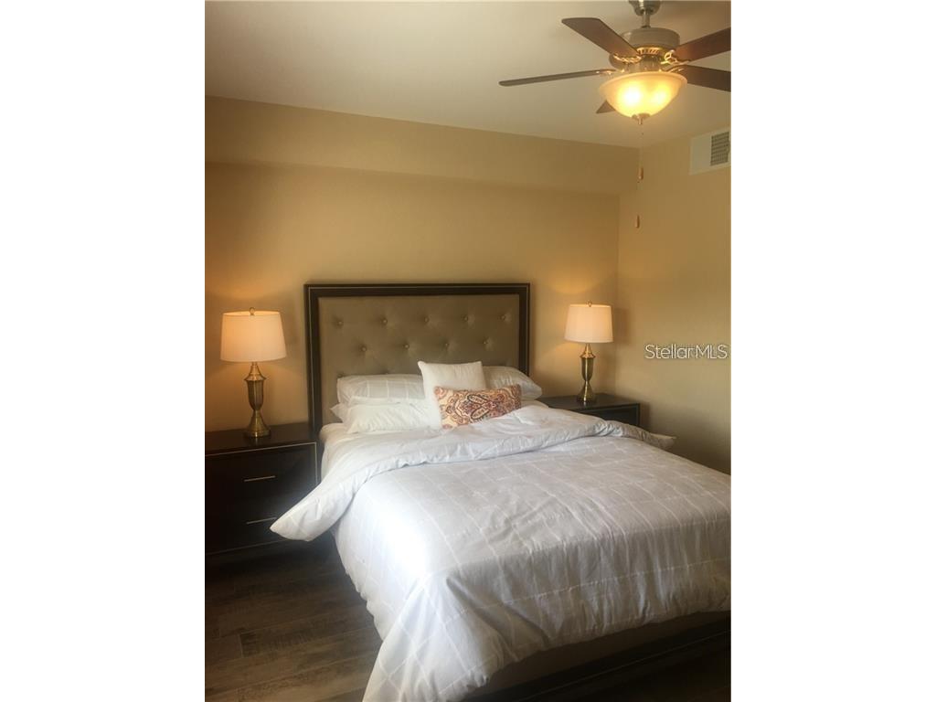 1231 Godavari Way #103 Wesley Chapel FL 33543 TB8489337 image6