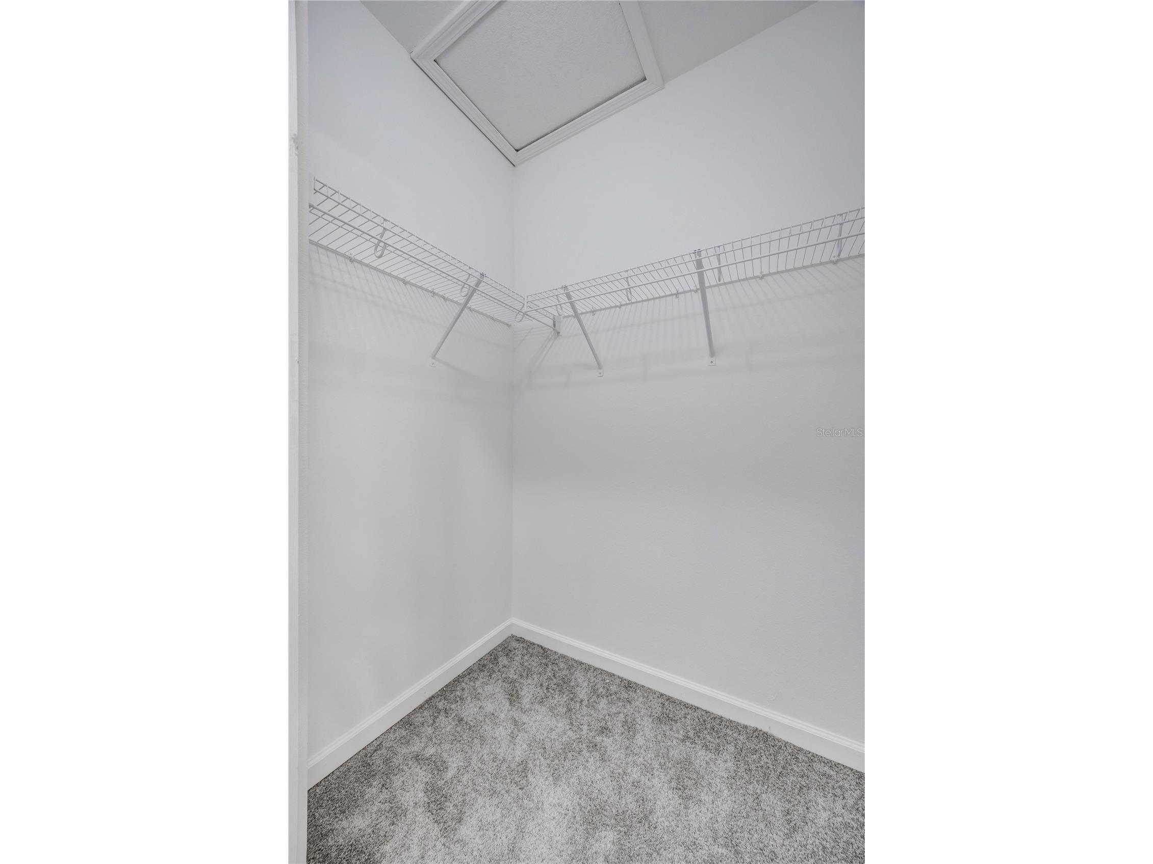 1231 Godavari Way #203 Wesley Chapel FL 33543 TB8513471 image14
