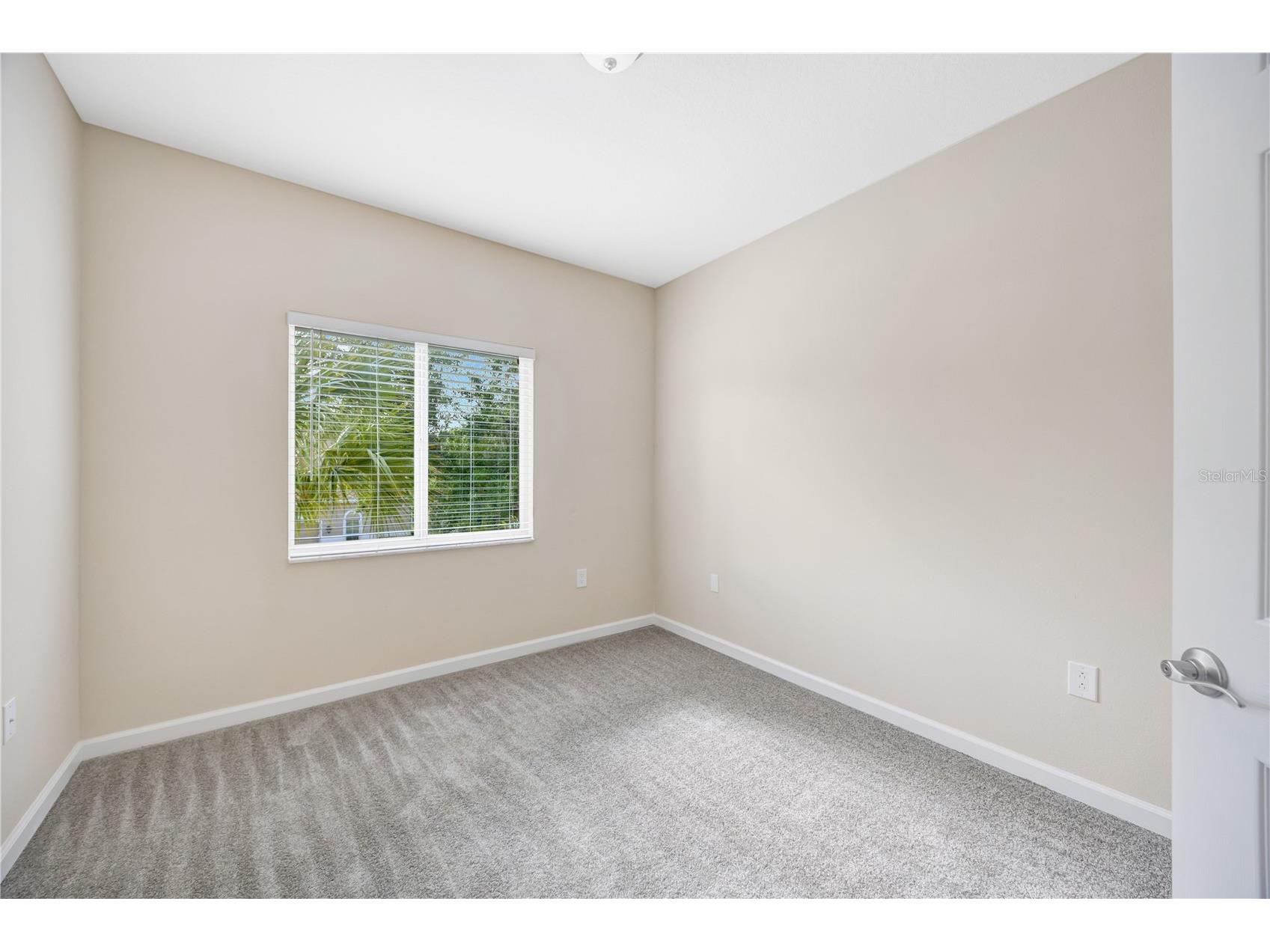 1231 Godavari Way #203 Wesley Chapel FL 33543 TB8513471 image18