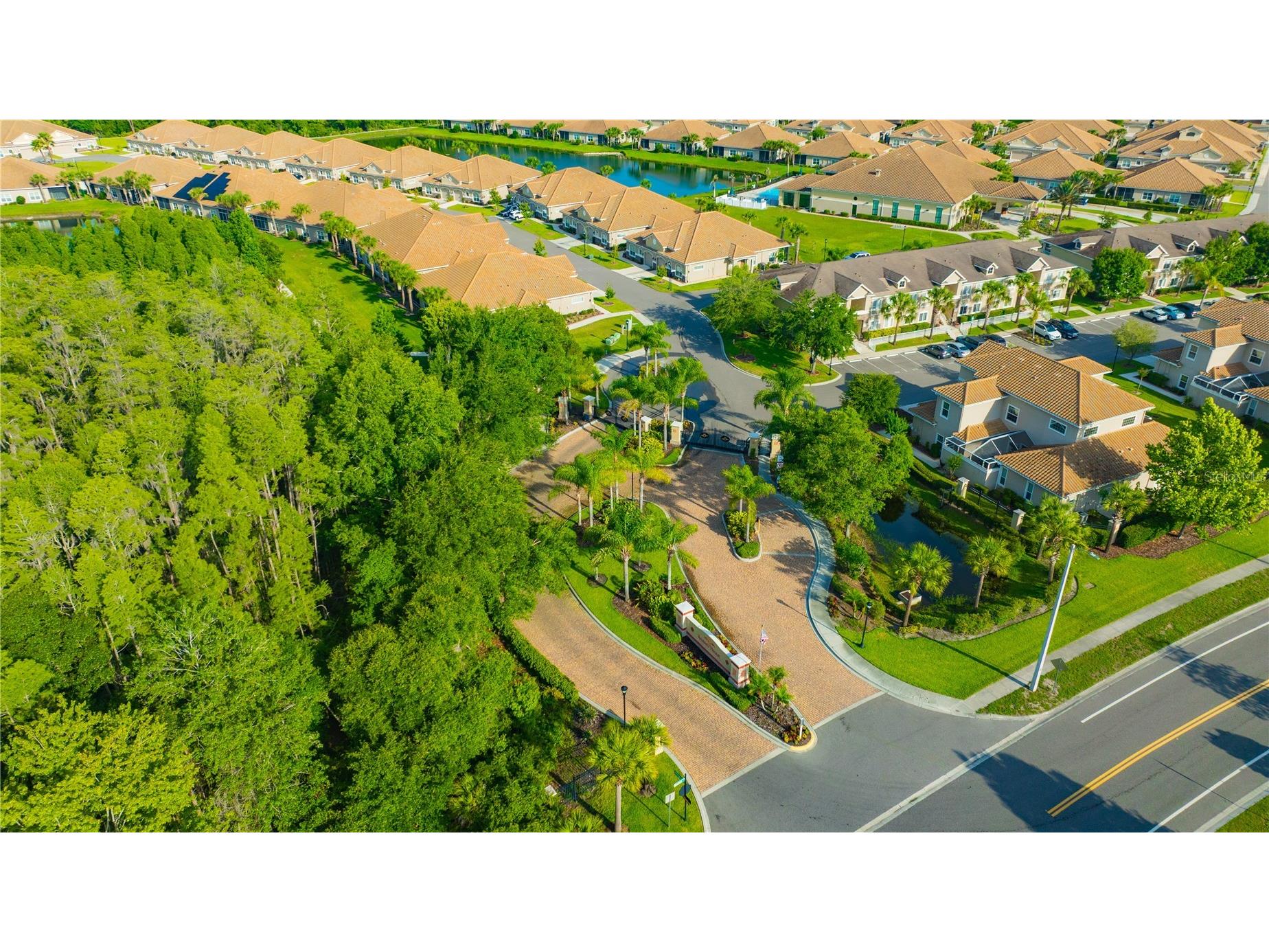 1231 Godavari Way #203 Wesley Chapel FL 33543 TB8513471 image30
