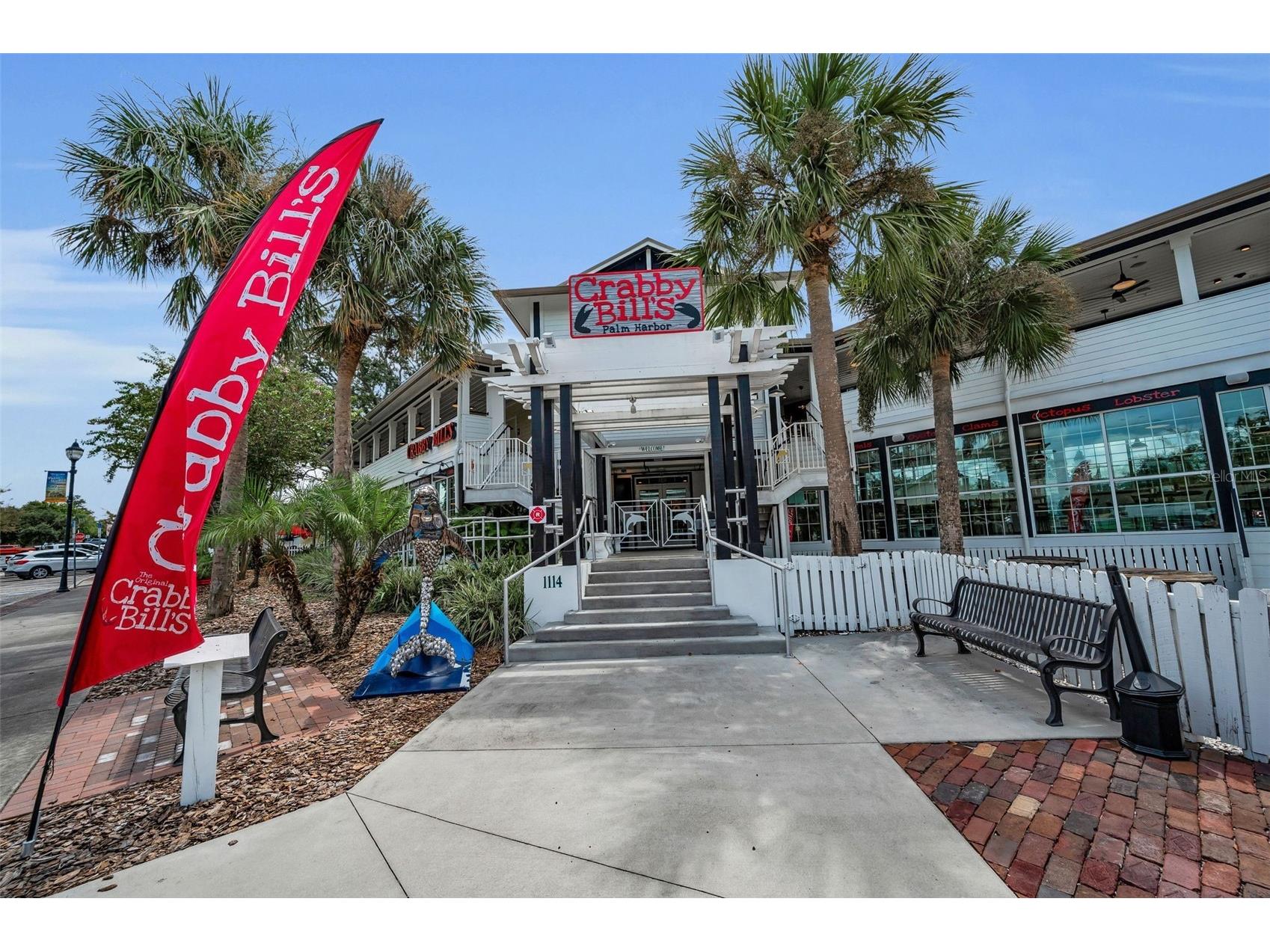 1231 Illinois Avenue Palm Harbor FL 34683 TB8503172 image51