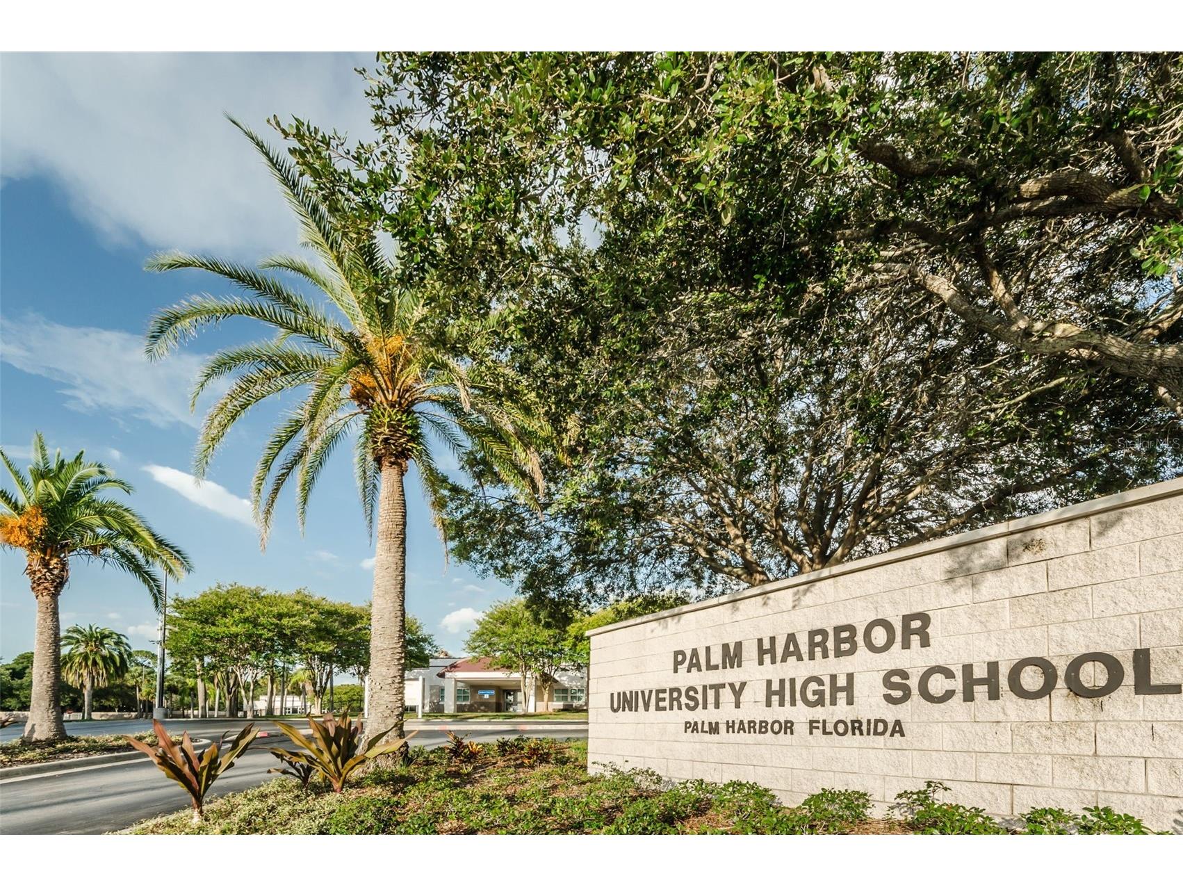 1231 Illinois Avenue Palm Harbor FL 34683 TB8503172 image61