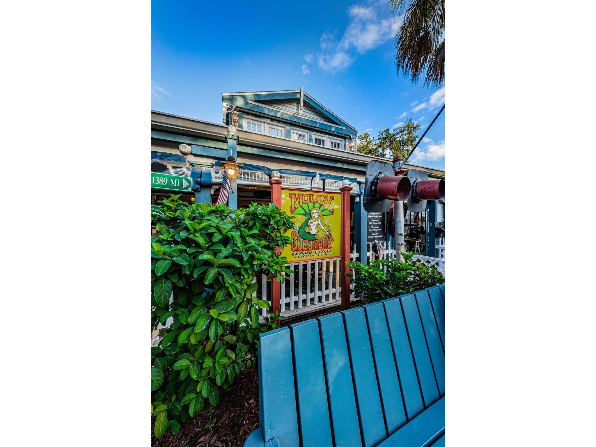 1231 Illinois Avenue Palm Harbor FL 34683 TB8503172 image66