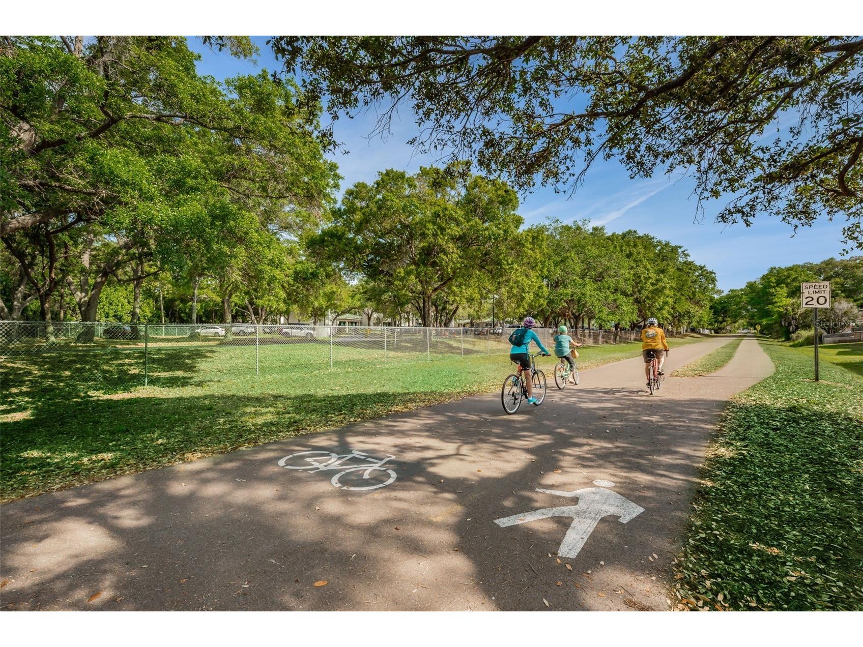 1231 Illinois Avenue Palm Harbor FL 34683 TB8503172 image76