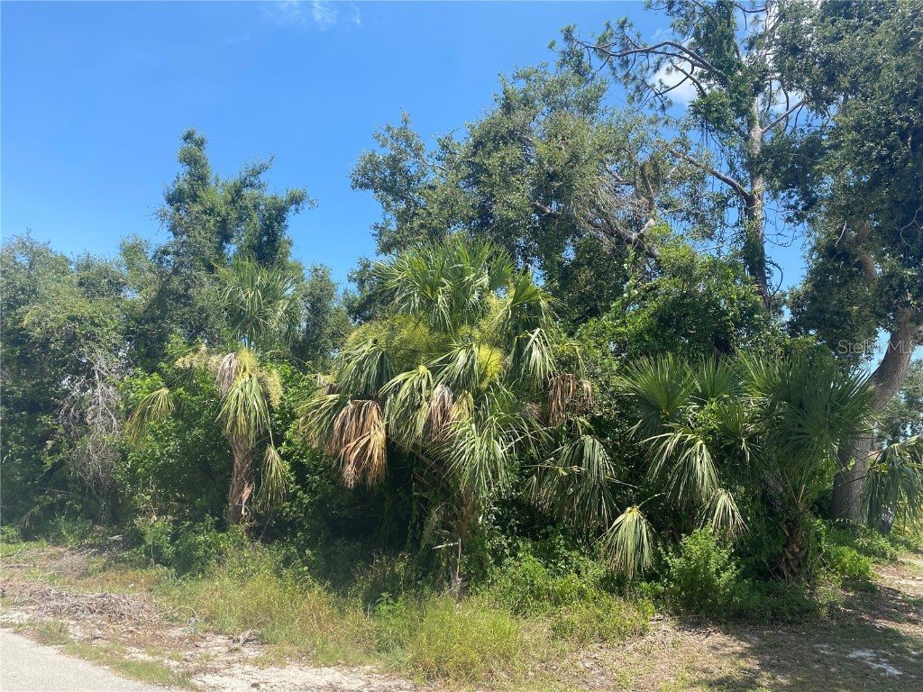 1231 Joplin Avenue NW Port Charlotte FL 33948 C7486470 image1