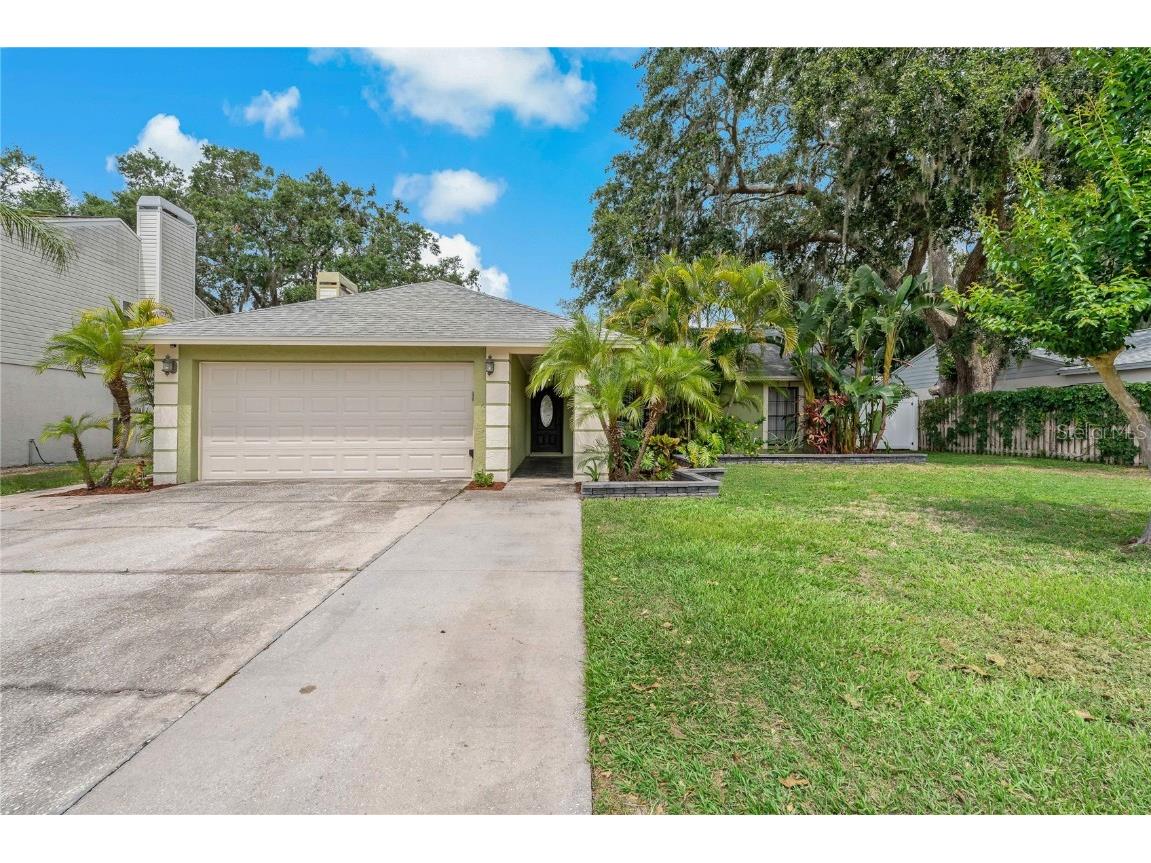 1231 Lornewood Drive Valrico FL 33596 U8202531 image1