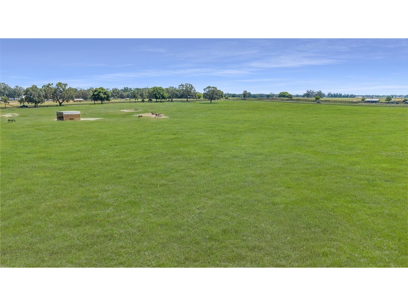 1231 NW 102nd Boulevard Wildwood FL 34785 OM714299 image62