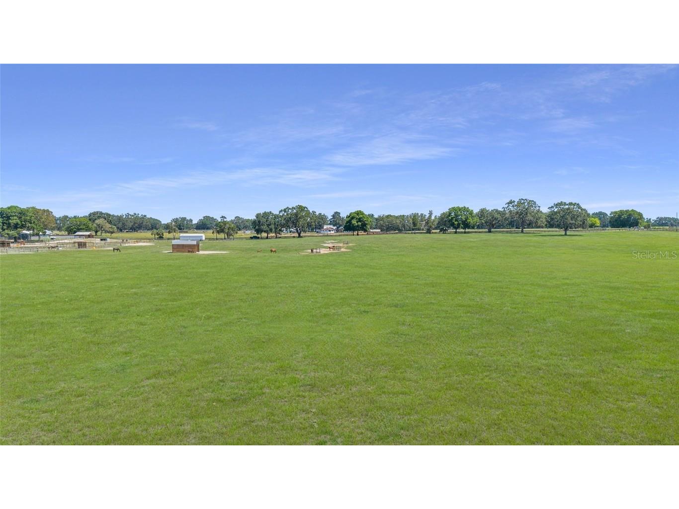 1231 NW 102nd Boulevard Wildwood FL 34785 OM714299 image63