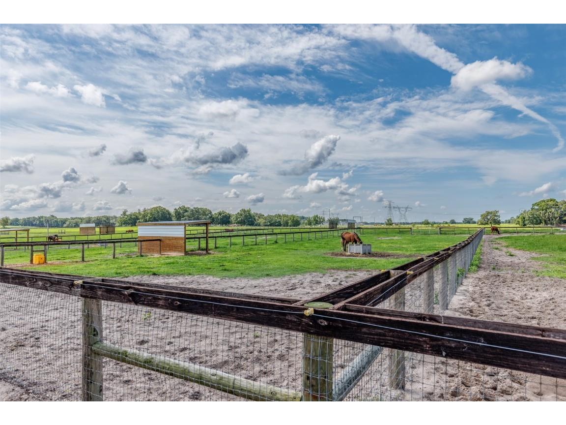 1231 NW 102nd Boulevard Wildwood FL 34785 OM714299 image73