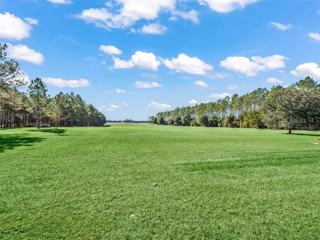 1231 NW 120th Street Chiefland FL 32626 G5104515 image69