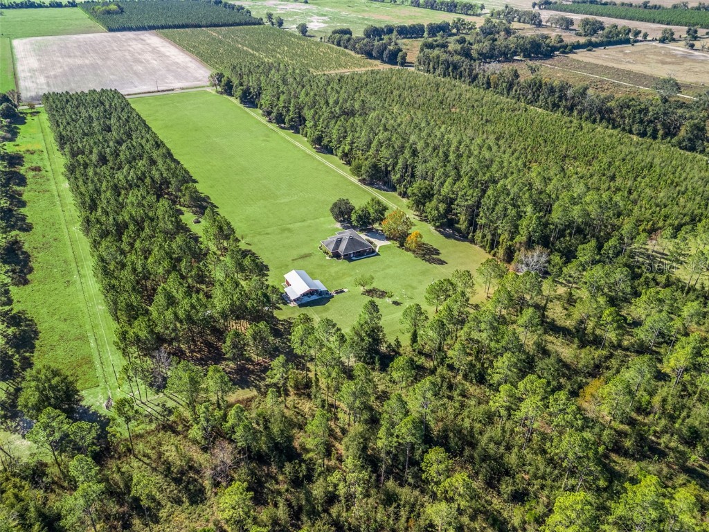 1231 NW 120th Street Chiefland FL 32626 G5104515 image74