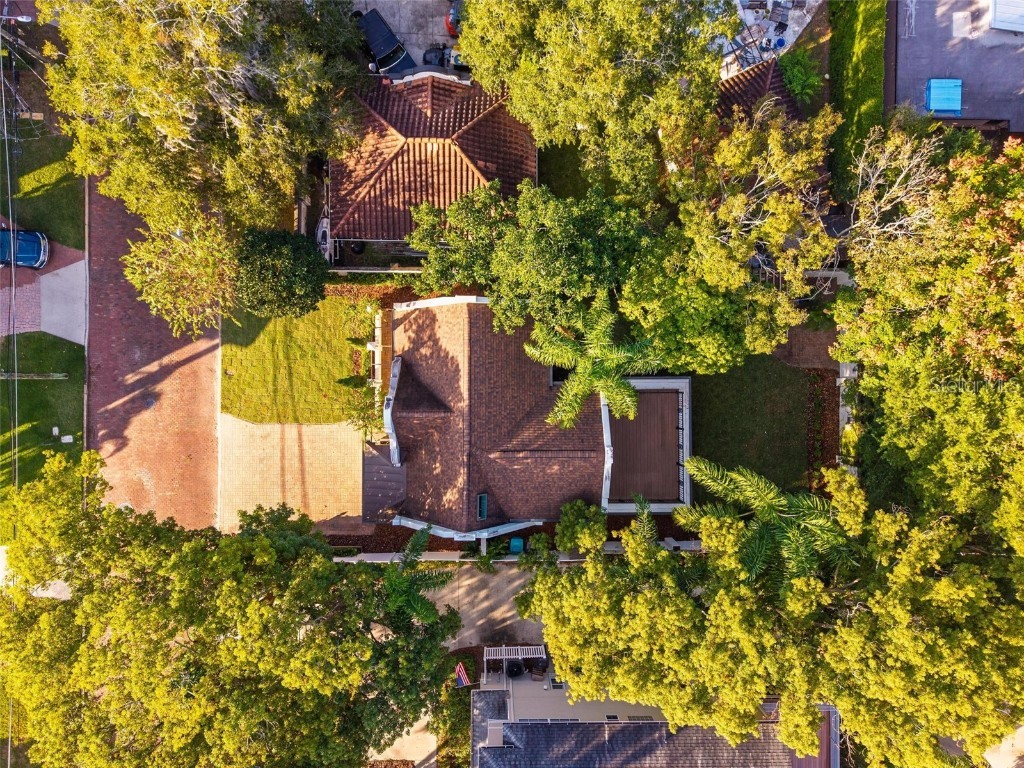 1231 Poinsettia Avenue Orlando FL 32804 - Lake Ivanhoe O6357849 image81