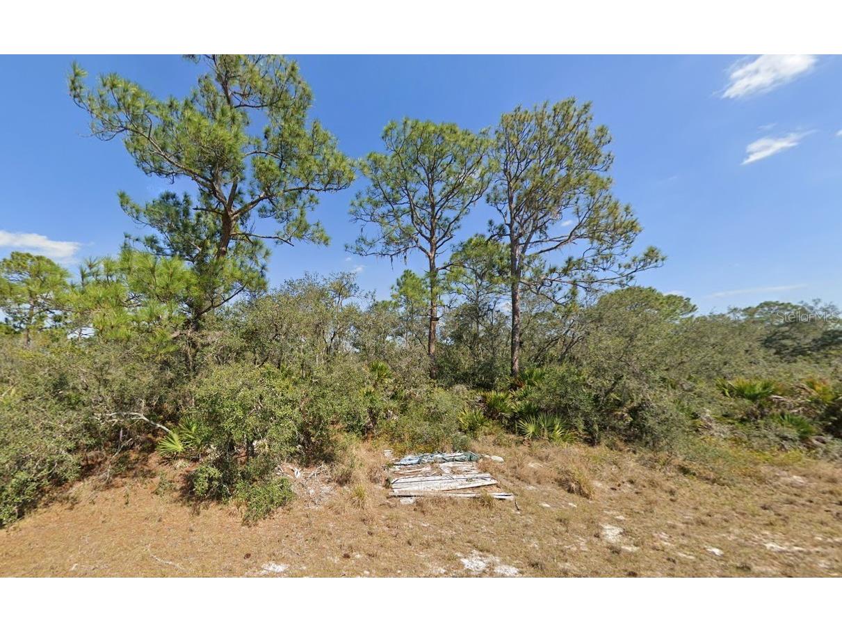 1231 Popinjay Avenue Lake Placid FL 33852 U8229412 image1