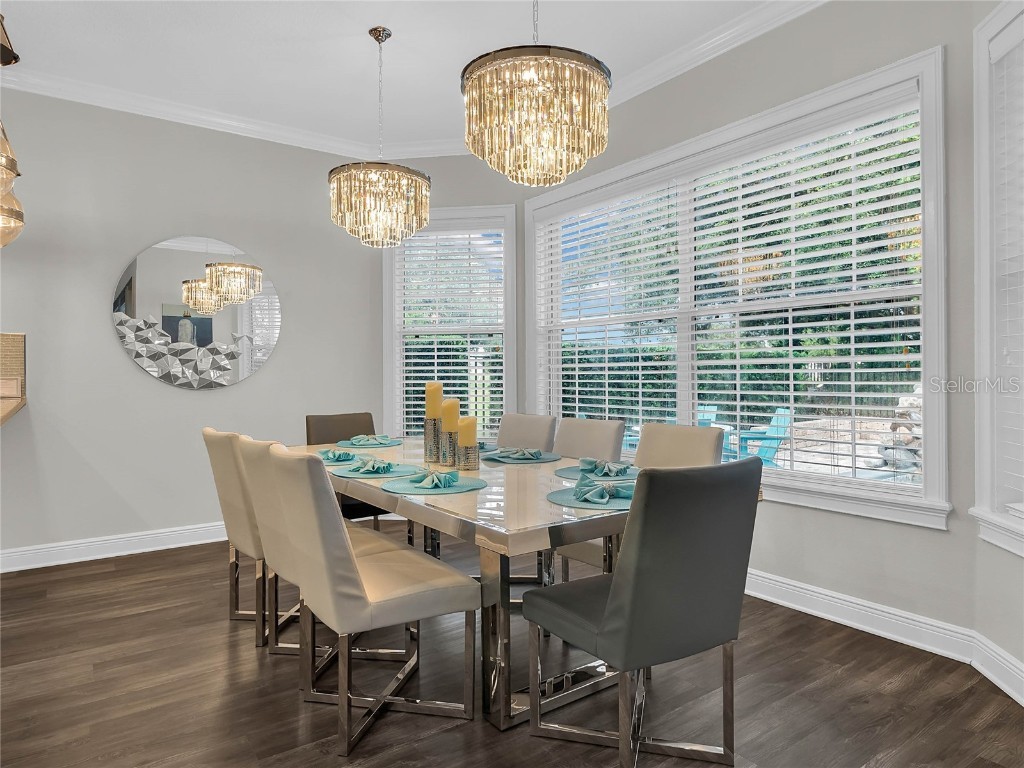 1231 Radiant Street Reunion FL 34747 O6339204 image4