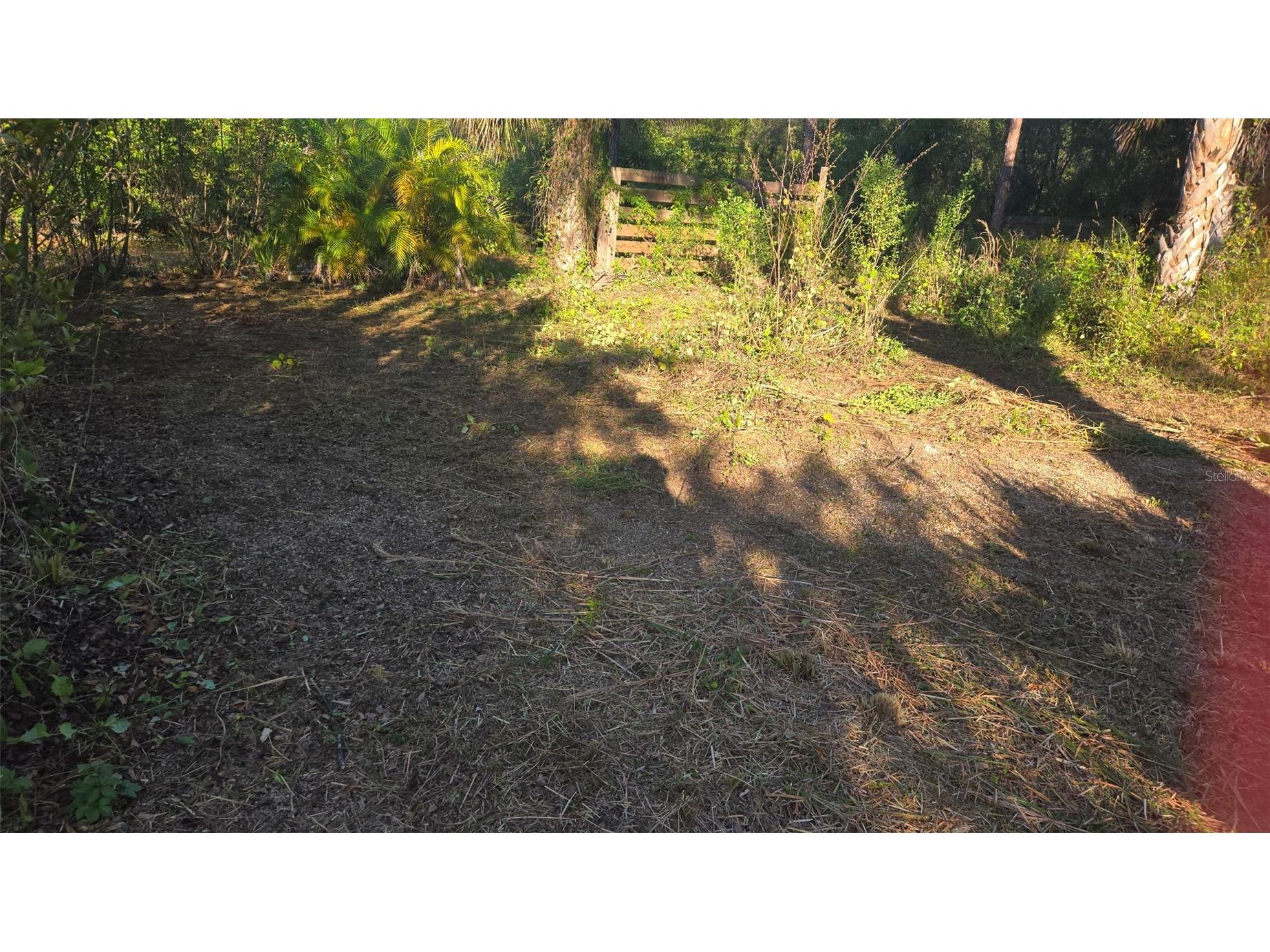 1231 Ramus Street E Lehigh Acres FL 33974 TB8502141 image2