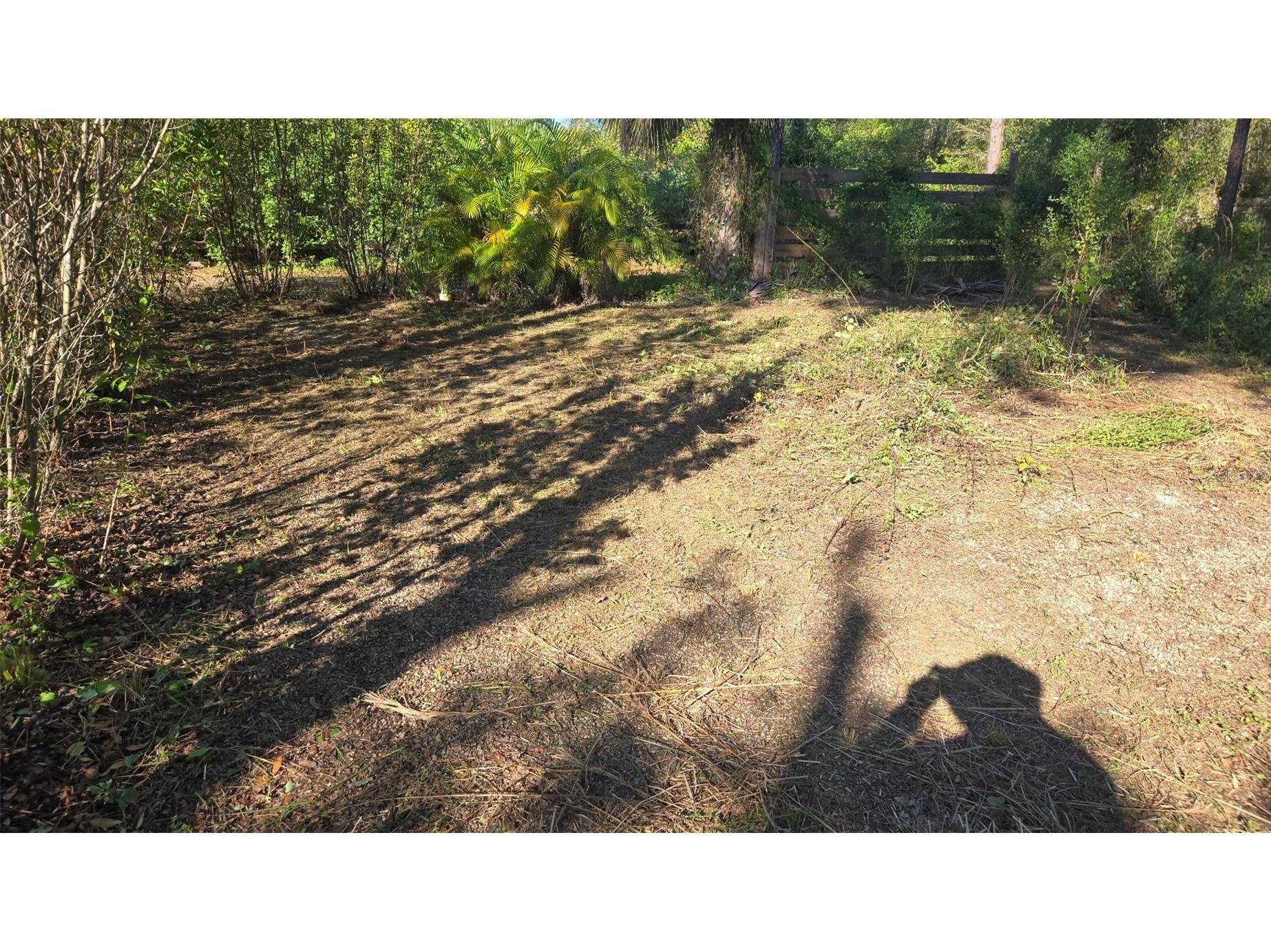 1231 Ramus Street E Lehigh Acres FL 33974 TB8502141 image3