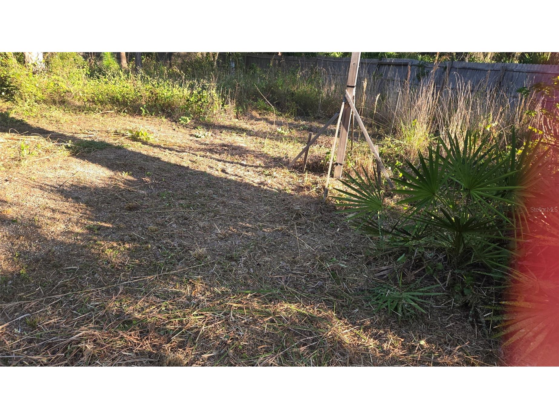 1231 Ramus Street E Lehigh Acres FL 33974 TB8502141 image4
