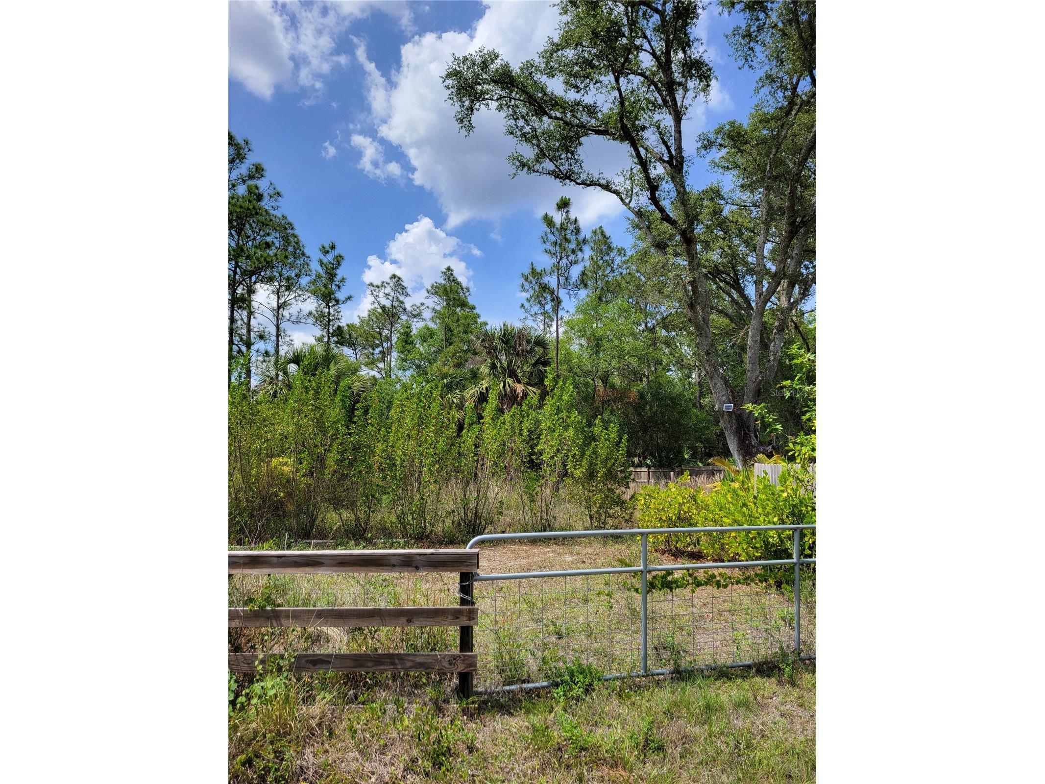 1231 Ramus Street E Lehigh Acres FL 33974 TB8502141 image5