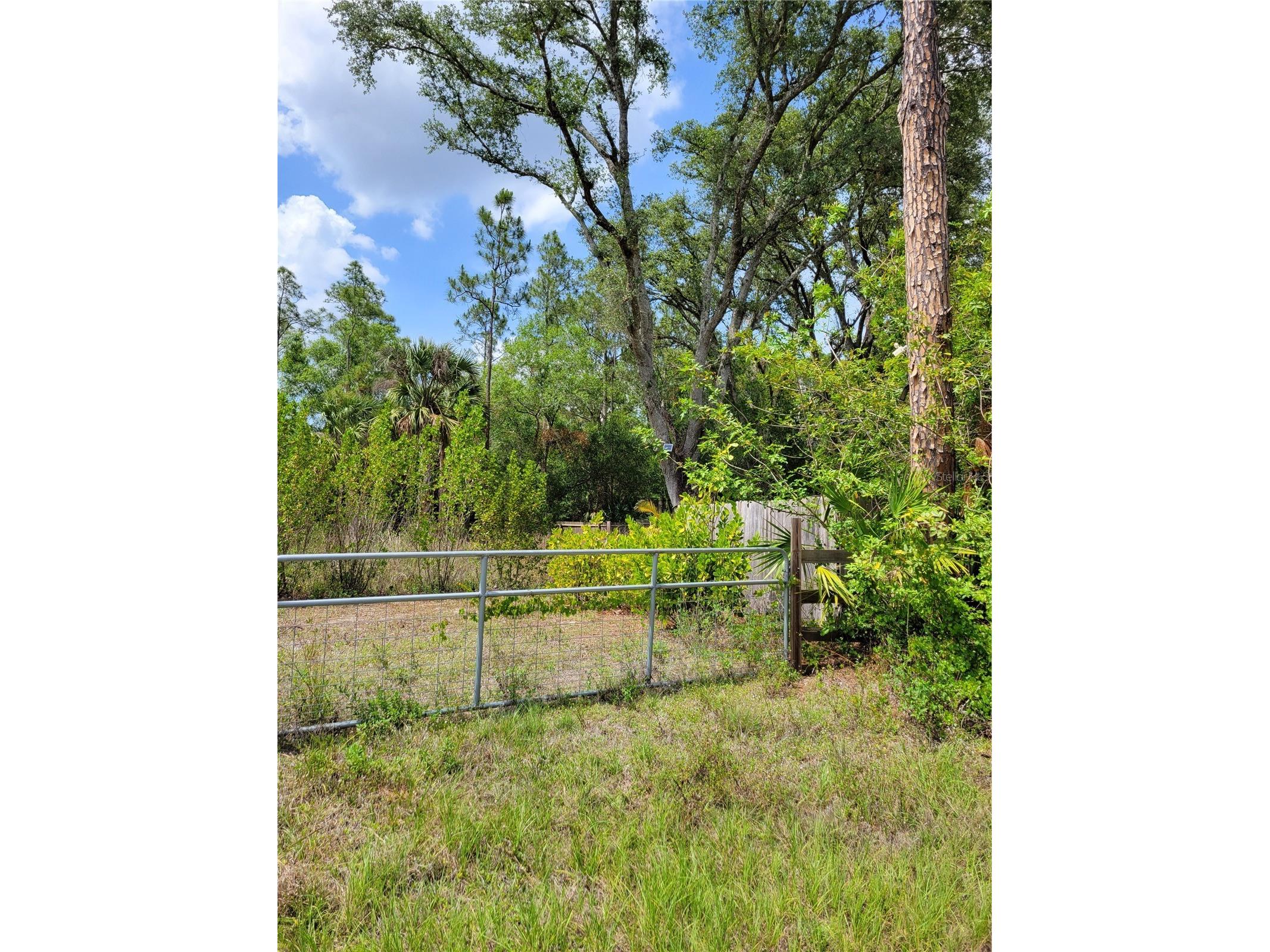 1231 Ramus Street E Lehigh Acres FL 33974 TB8502141 image6