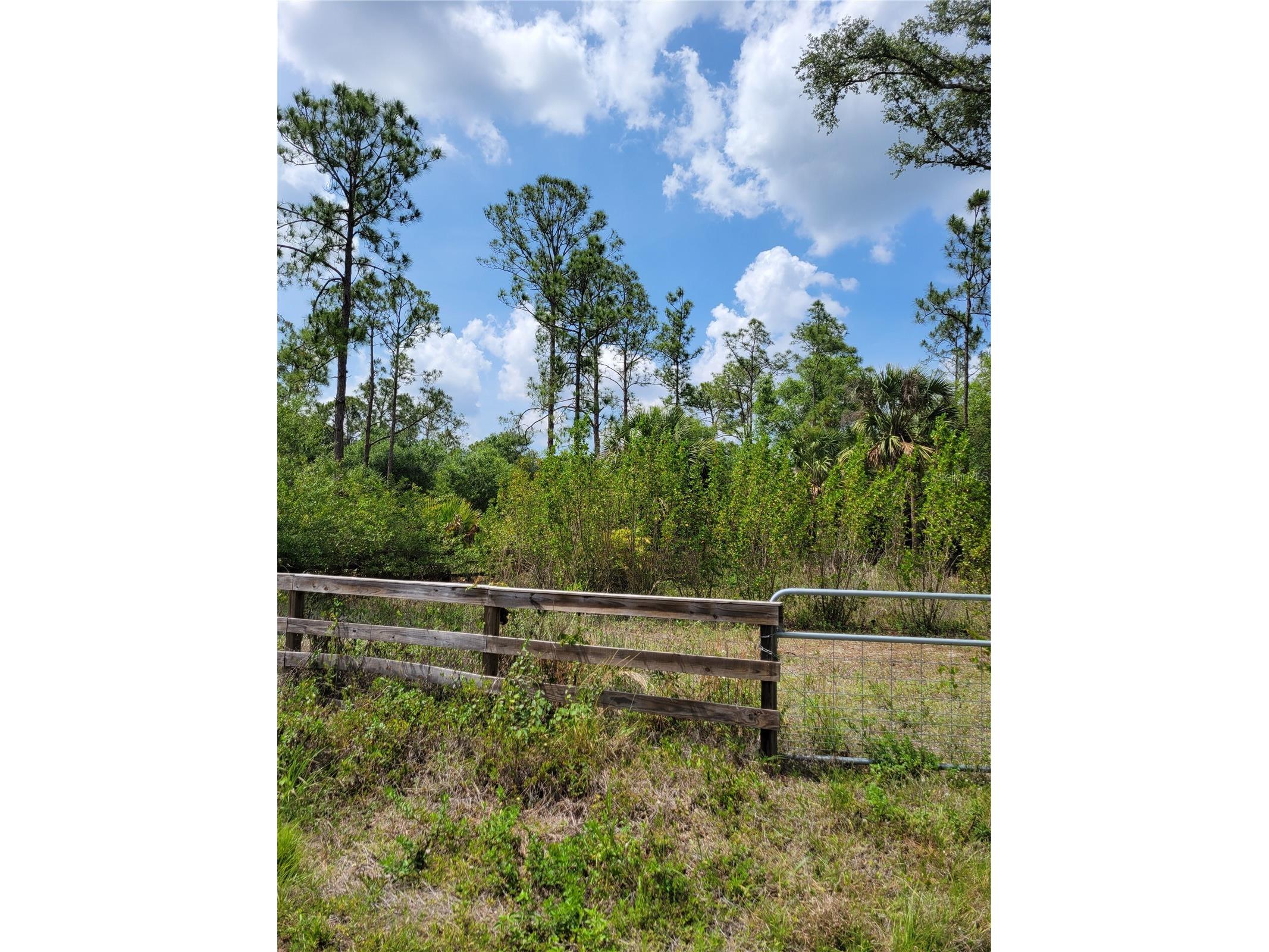 1231 Ramus Street E Lehigh Acres FL 33974 TB8502141 image7