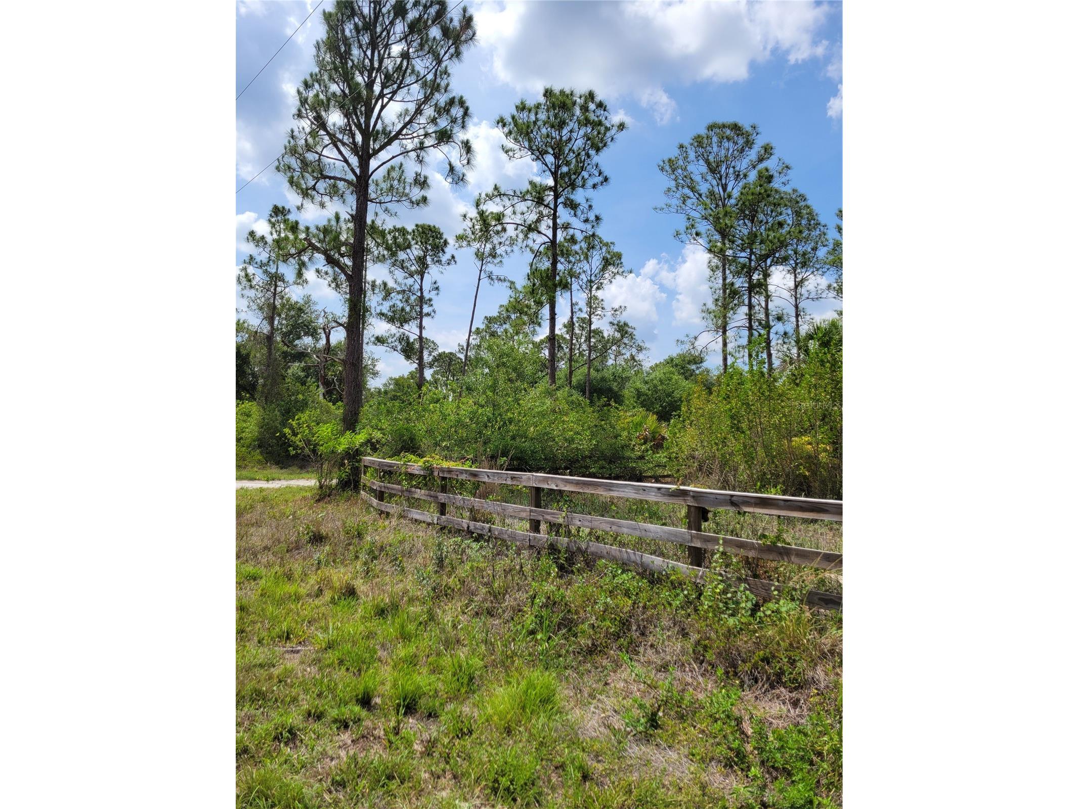 1231 Ramus Street E Lehigh Acres FL 33974 TB8502141 image8