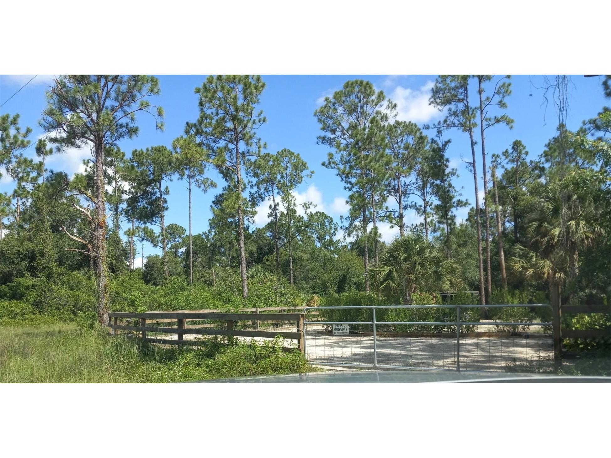 1231 Ramus Street E Lehigh Acres FL 33974 TB8502141 image9