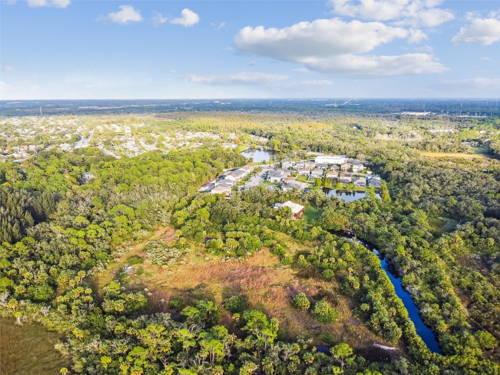 12310 Memorial Highway Tampa FL 33635 T3412905 image1