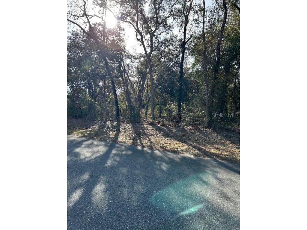 12310 Peregrine Falcon Avenue Weeki Wachee FL 34614 T3423508 image1