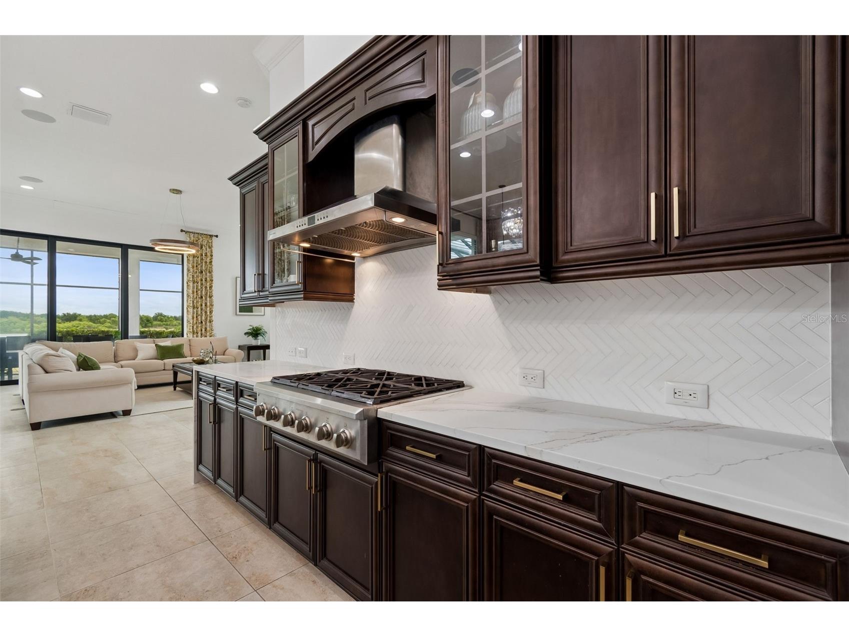 12310 Stonelake Ranch Boulevard Thonotosassa FL 33592 T3528010 image15