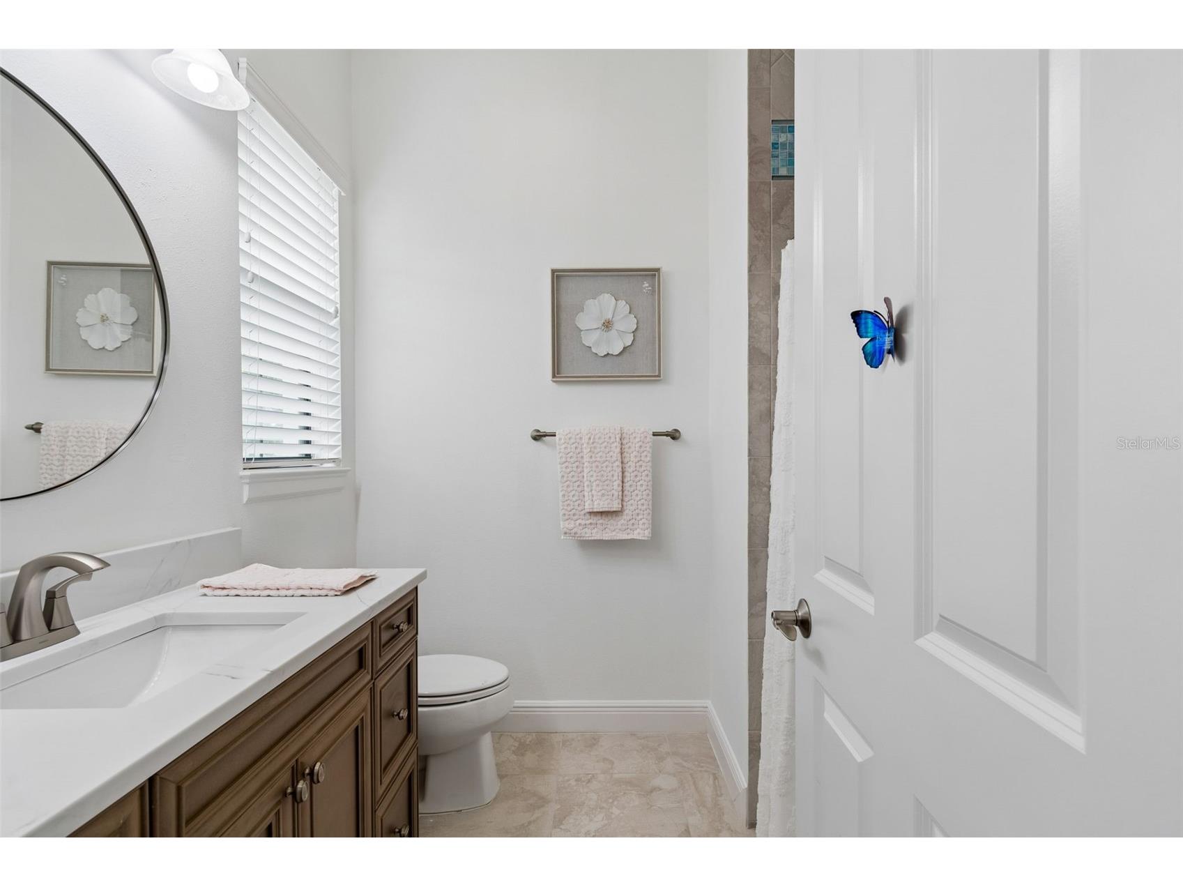 12310 Stonelake Ranch Boulevard Thonotosassa FL 33592 T3528010 image47