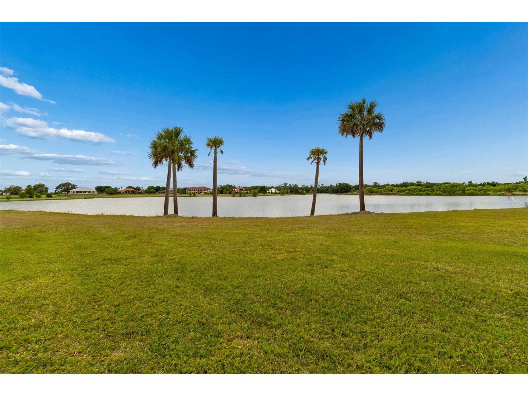 12310 Stonelake Ranch Boulevard Thonotosassa FL 33592 T3528010 image90