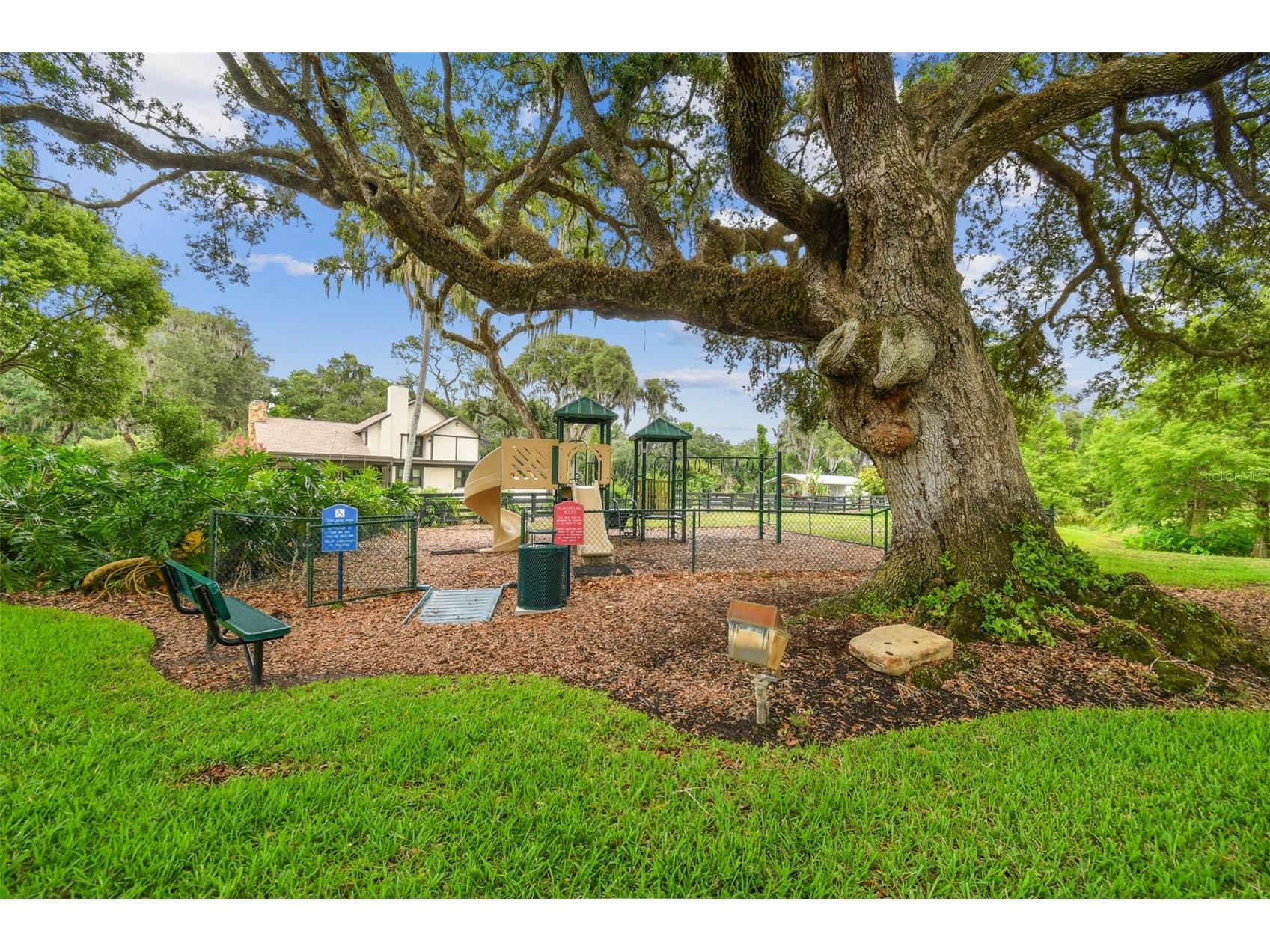 12310 Stonelake Ranch Boulevard Thonotosassa FL 33592 T3528010 image98