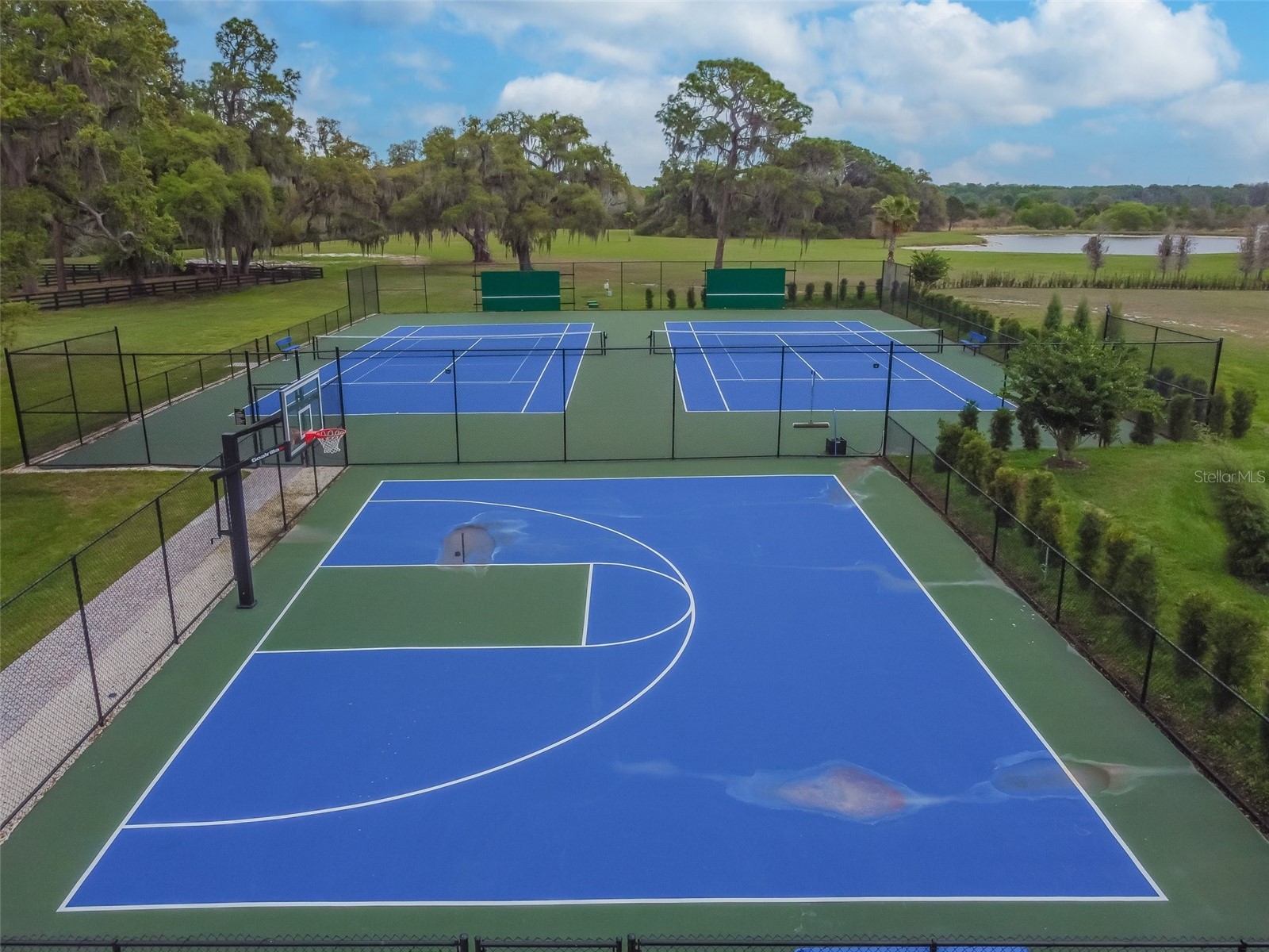 12310 Stonelake Ranch Boulevard Thonotosassa FL 33592 T3528010 image99