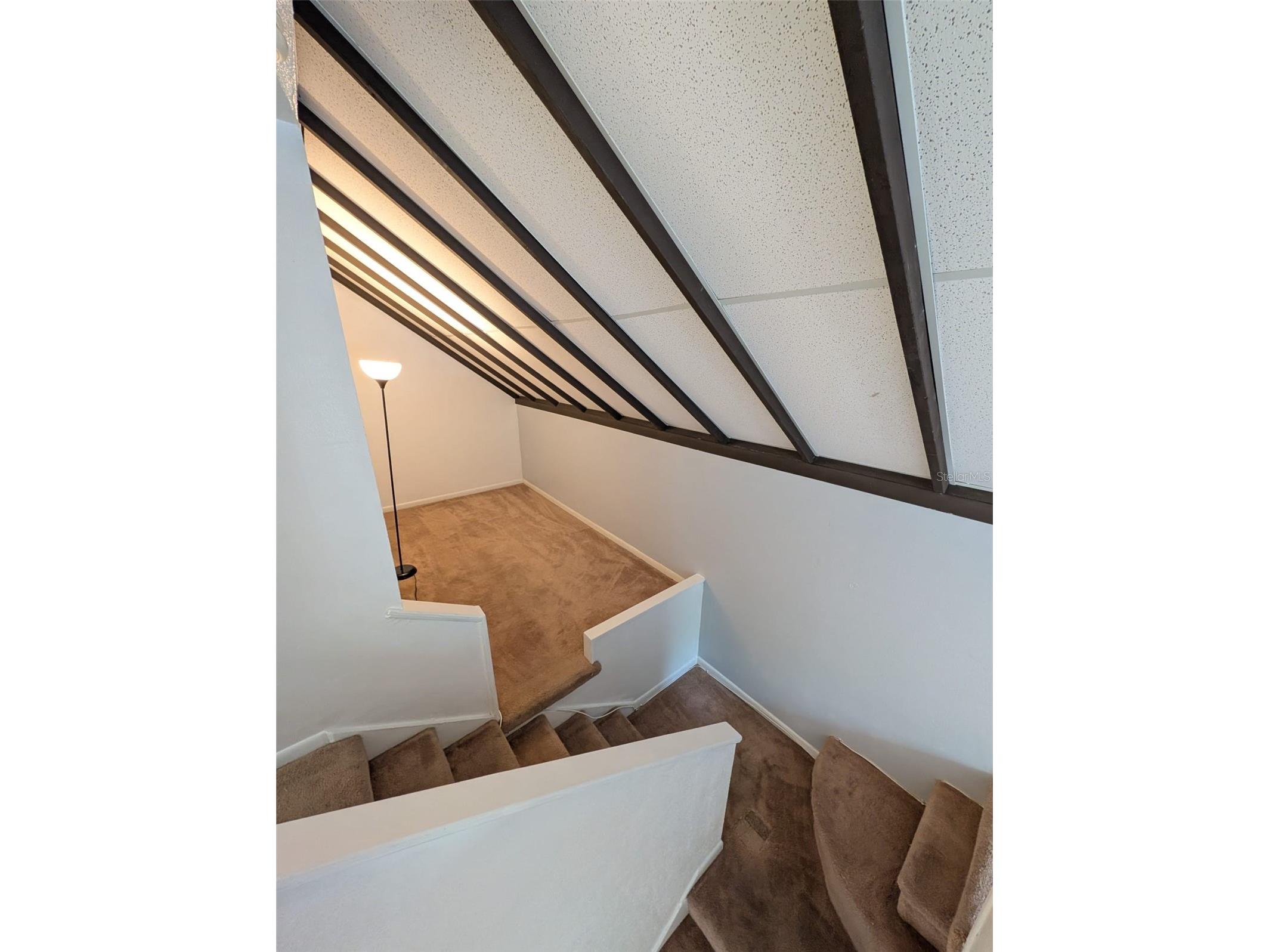 12310 Touchton Dr #42 Tampa FL 33617 TB8507312 image4
