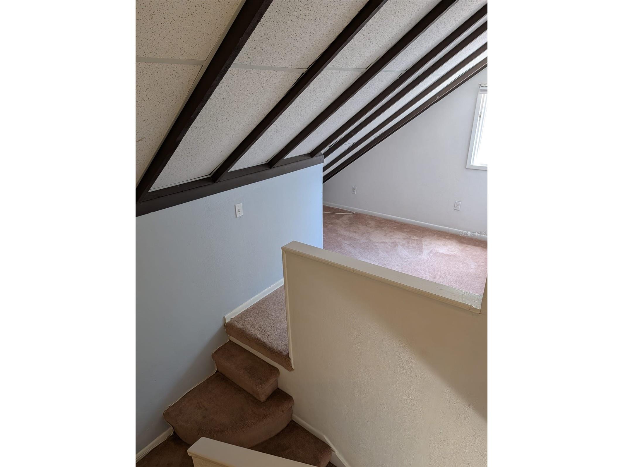 12310 Touchton Dr #42 Tampa FL 33617 TB8507312 image5