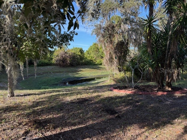 12311 Boot Spur Way Spring Hill FL 34610 TB8446207 image20