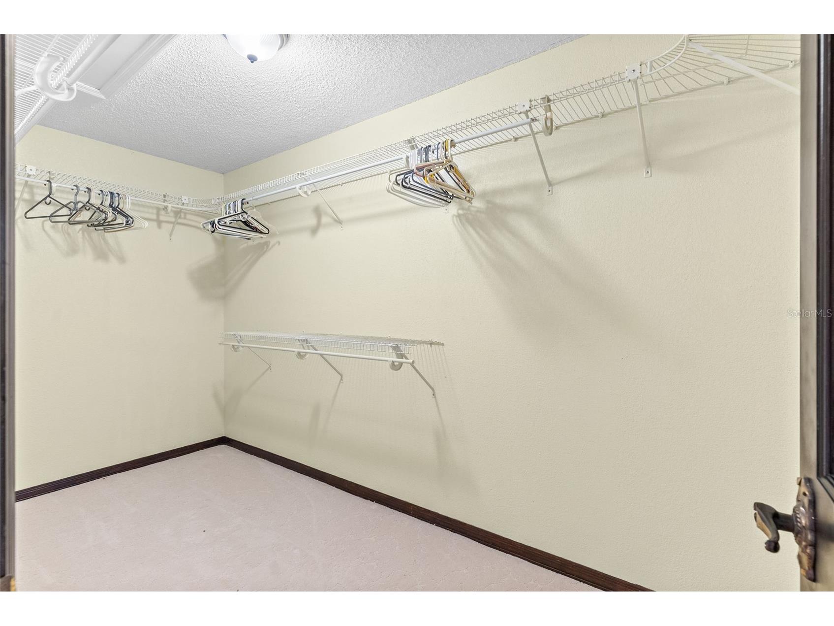 12311 Kelso Road Thonotosassa FL 33592 - LAKE THONOTOSASSA TB8523855 image30