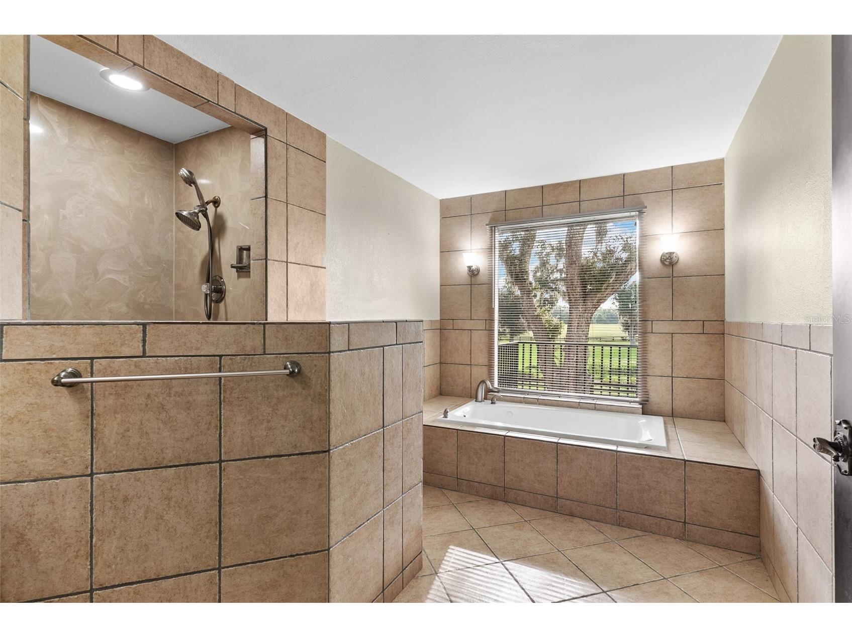 12311 Kelso Road Thonotosassa FL 33592 - LAKE THONOTOSASSA TB8523855 image32
