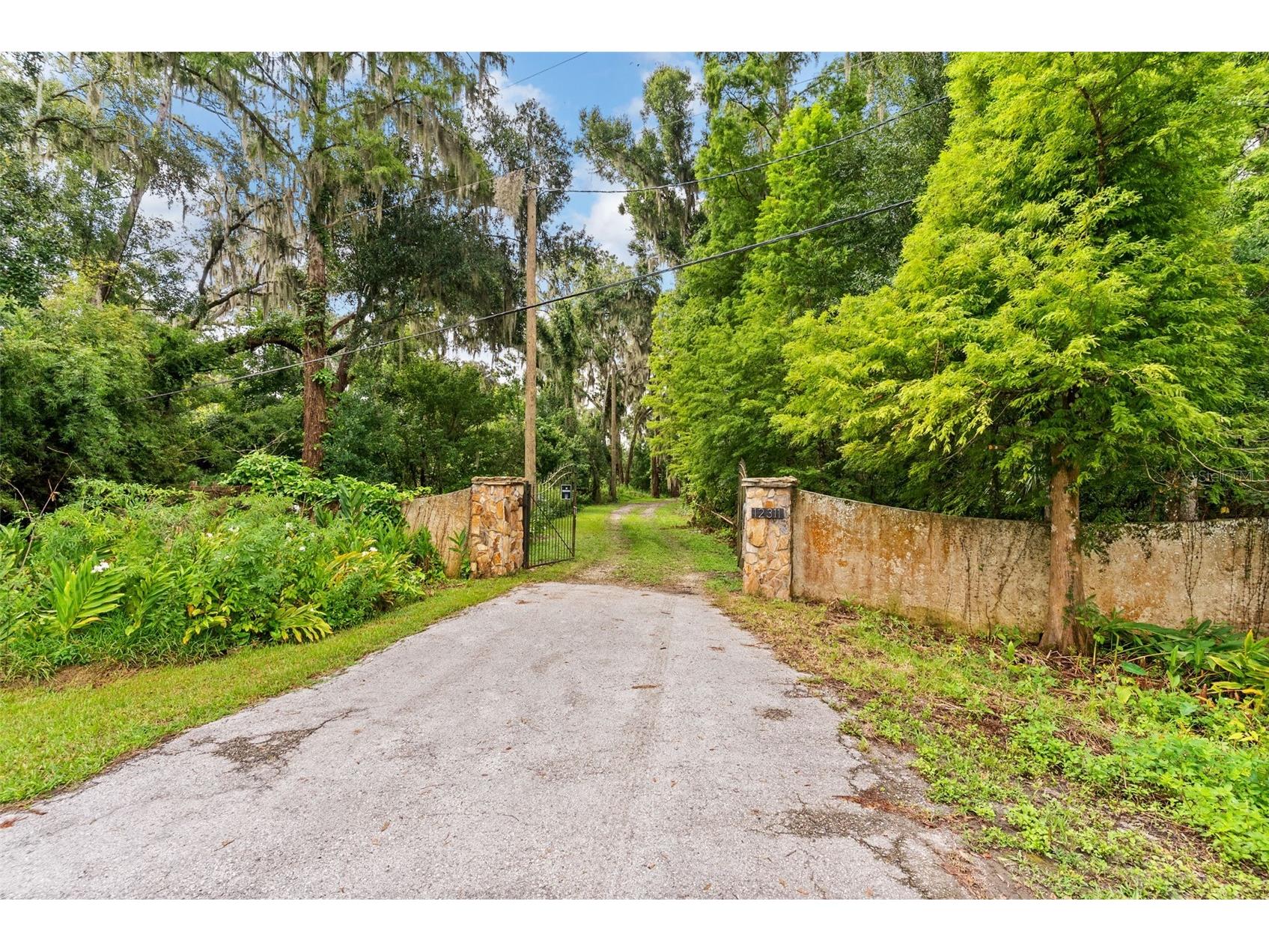 12311 Kelso Road Thonotosassa FL 33592 - LAKE THONOTOSASSA TB8523855 image43