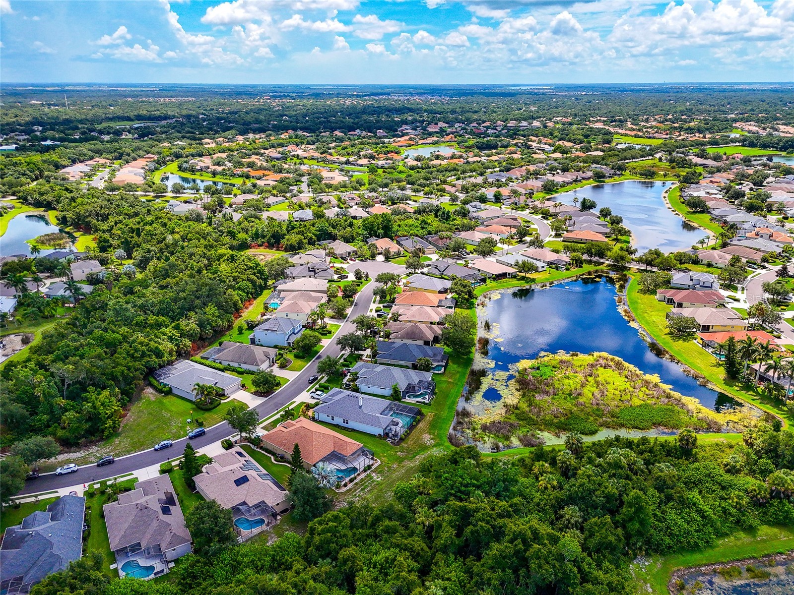 12311 Lavender Loop Bradenton FL 34212 A4699511 image52