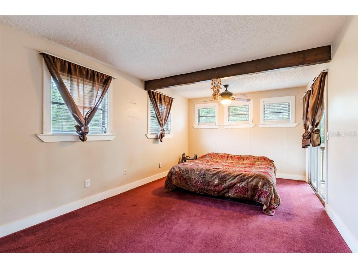 12311 Oakwood Drive Hudson FL 34669 TB8384501 image40